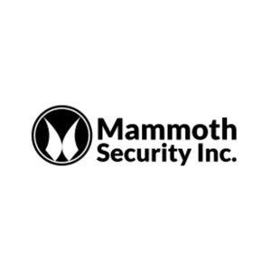 Mammoth Security Inc. New Haven