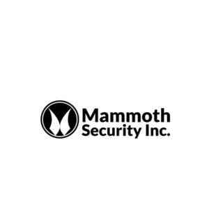 Mammoth Security Inc. New Britain