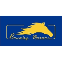 Brumby Motors - Car service in Sydney Brumby  Motors 